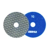 Imagine 1/2 - Bihui DPP405 Disc pt slefuit 100mm/P50