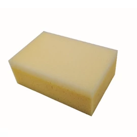 Bautool 4301010 Burete pentru spalat faianta cu doua tipuri de burete 160x110x60 mm
